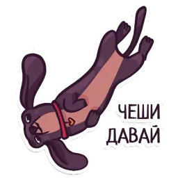 Такса sticker 8