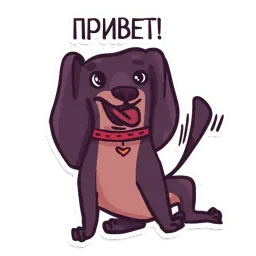 Такса sticker 9
