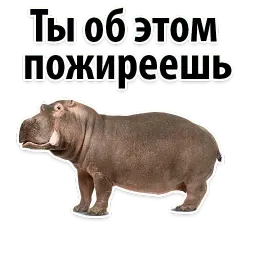 Молодёжный сленг sticker 2