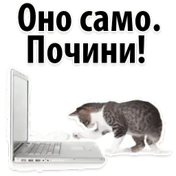 Молодёжный сленг sticker 11