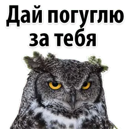 Молодёжный сленг sticker 12