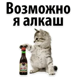 Молодёжный сленг sticker 4