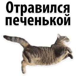 Молодёжный сленг sticker 5