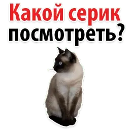 Молодёжный сленг sticker 6