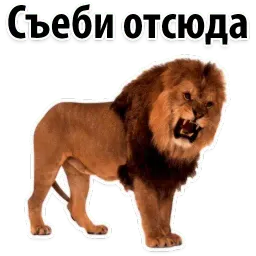 Молодёжный сленг sticker 7