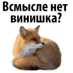 Молодёжный сленг sticker 8