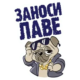Чисто конкретно sticker 11