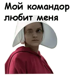 Рассказ служанки sticker 12
