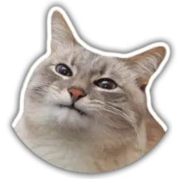 The cat Jazz Telegram sticker pack
