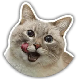 The cat Jazz sticker 2