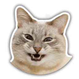 The cat Jazz sticker 11