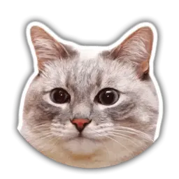 The cat Jazz sticker 12