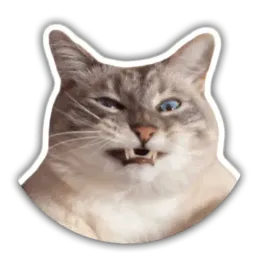 The cat Jazz sticker 3