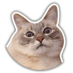 The cat Jazz sticker 4