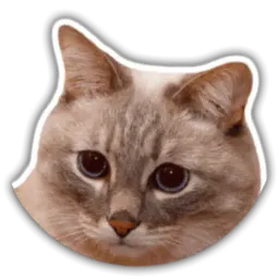The cat Jazz sticker 6