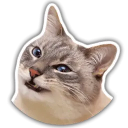 The cat Jazz sticker 7