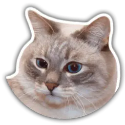 The cat Jazz sticker 8