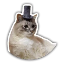 The cat Jazz sticker 9