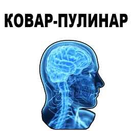 Усталый Мозг sticker 12