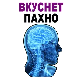 Усталый Мозг sticker 4
