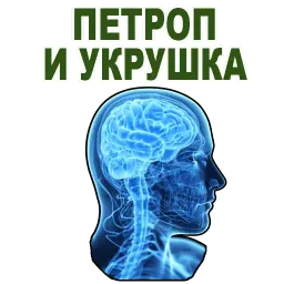 Усталый Мозг sticker 9