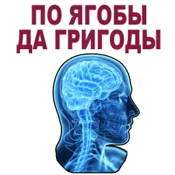 Усталый Мозг sticker 10