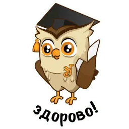 Togulife sticker 3