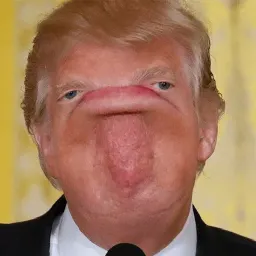 Trump Faces stickers ecospace sticker 4