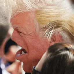 Trump Faces stickers ecospace sticker 7