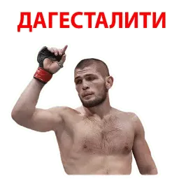 Хабиб & Конор Telegram sticker pack