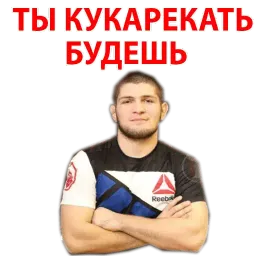 Хабиб & Конор sticker 5
