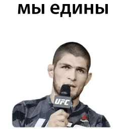 Хабиб & Конор sticker 7