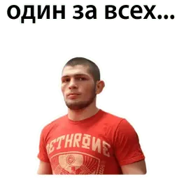 Хабиб & Конор sticker 8
