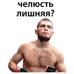 Хабиб & Конор sticker 9