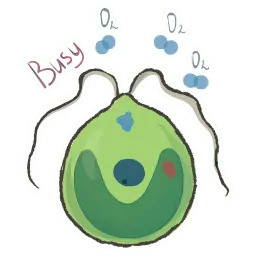 Одноклеточные sticker 2