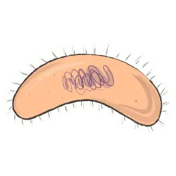 Одноклеточные sticker 11