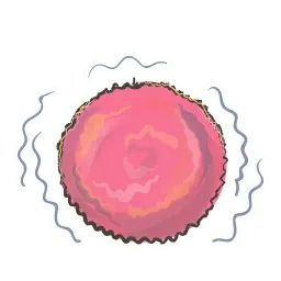 Одноклеточные sticker 9