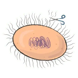 Одноклеточные sticker 10