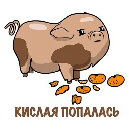 Неудачливый, но очень Добрый Хрюня sticker 5