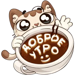 Котик :: @stickroom Telegram sticker pack