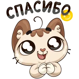 Котик :: @stickroom sticker 3