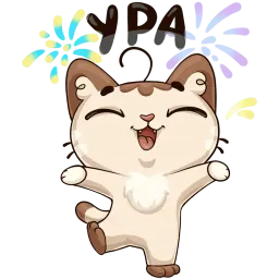 Котик :: @stickroom sticker 8