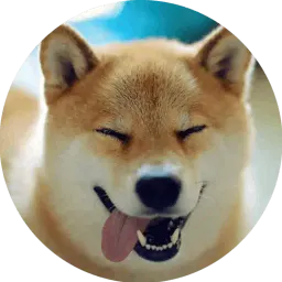 Vasya_Piton Telegram sticker pack