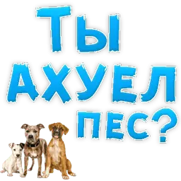 Нестандартные ругательства sticker 3