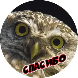 Очень злые птички sticker 11