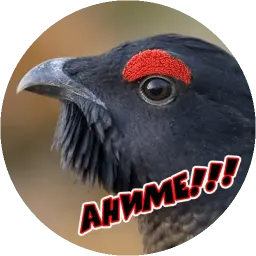 Очень злые птички sticker 3