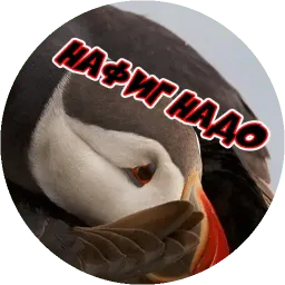 Очень злые птички sticker 4