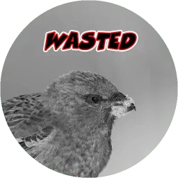 Очень злые птички sticker 5