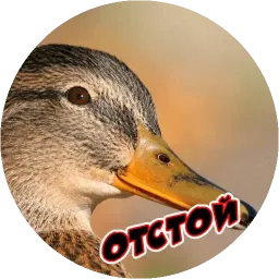 Очень злые птички sticker 7