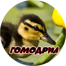 Очень злые птички sticker 8